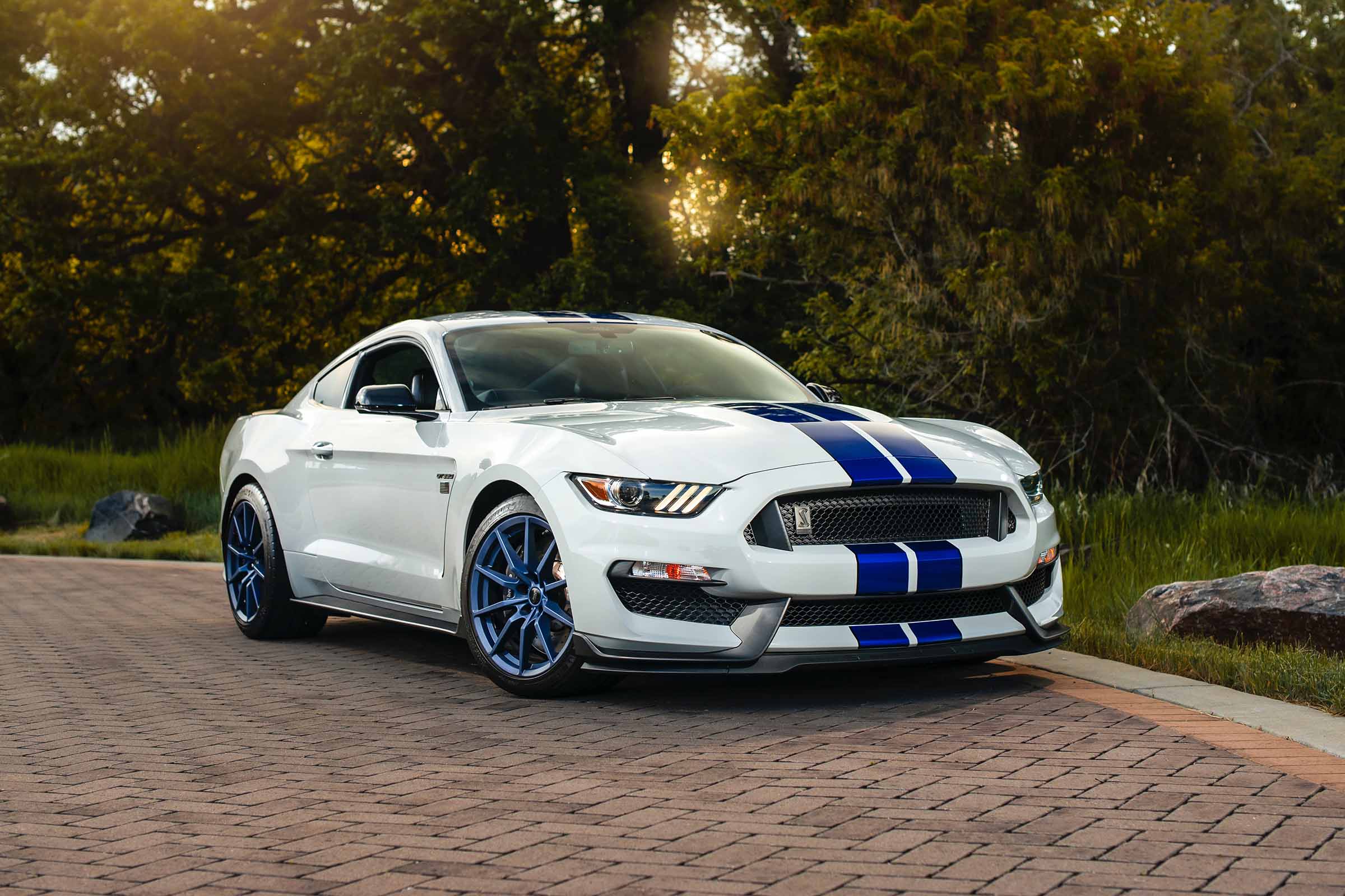 Home 15 stefan-rodriguez-nZHV9YMQt6o-unsplash.jpg