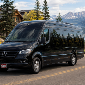 Sprinter van (14 Seater)